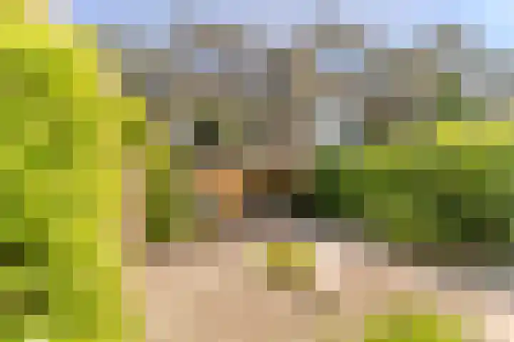 Essex 19 Leusden thumbnail 41