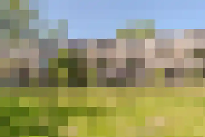Essex 19 Leusden thumbnail 42
