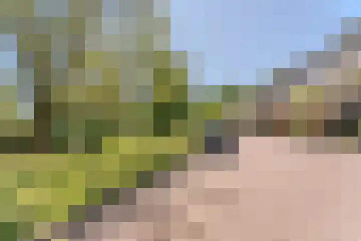 Essex 19 Leusden thumbnail 44