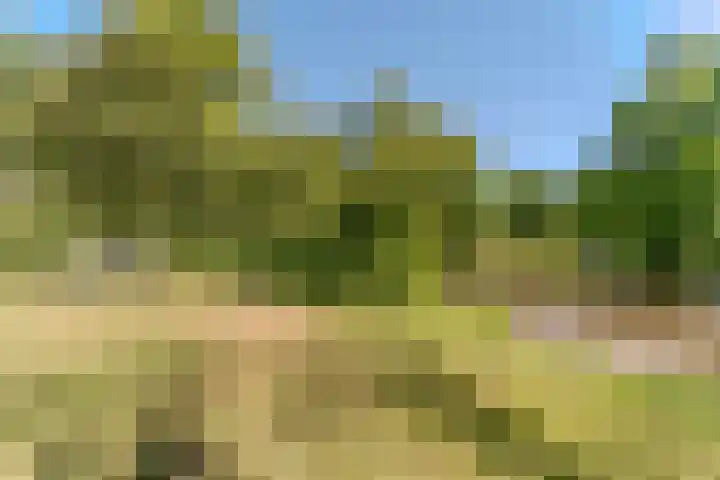 Essex 19 Leusden thumbnail 45