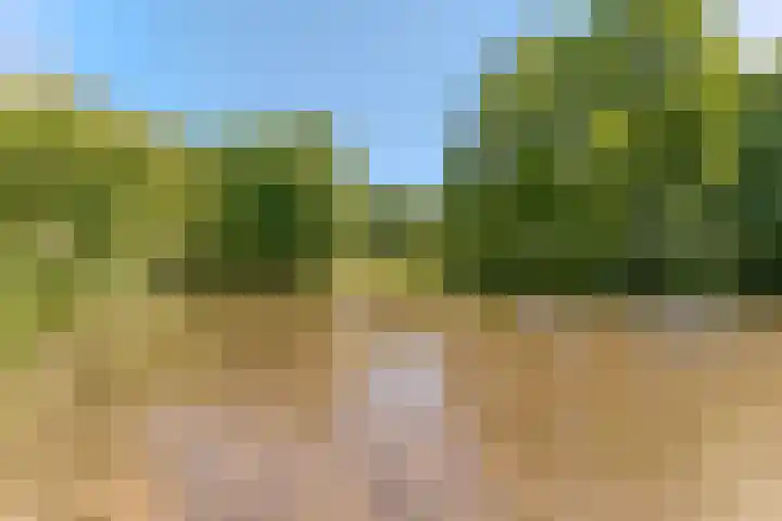 Essex 19 Leusden thumbnail 46