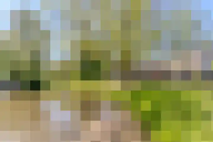Essex 19 Leusden thumbnail 47