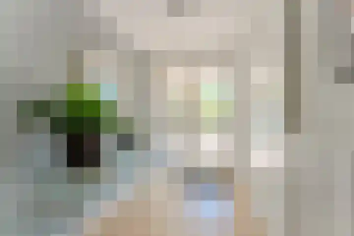 Essex 19 Leusden thumbnail 7