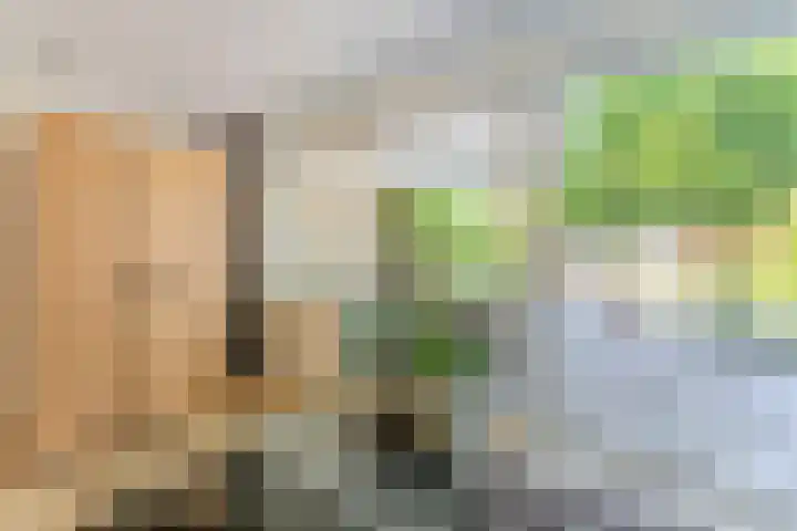 Essex 19 Leusden thumbnail 8