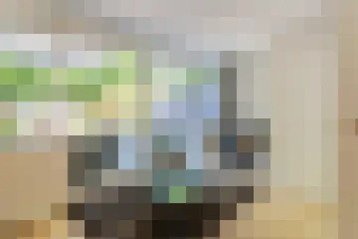 Essex 19 Leusden thumbnail 9