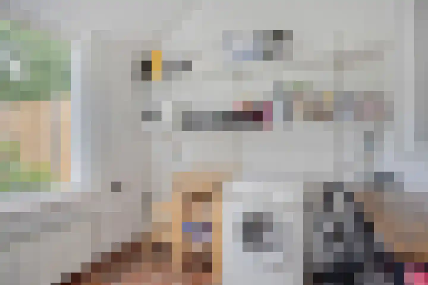Essinklaan 19 Grave thumbnail 13