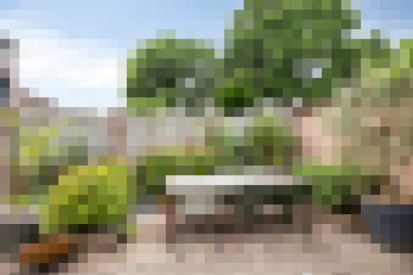 Essinklaan 19 Grave thumbnail 32