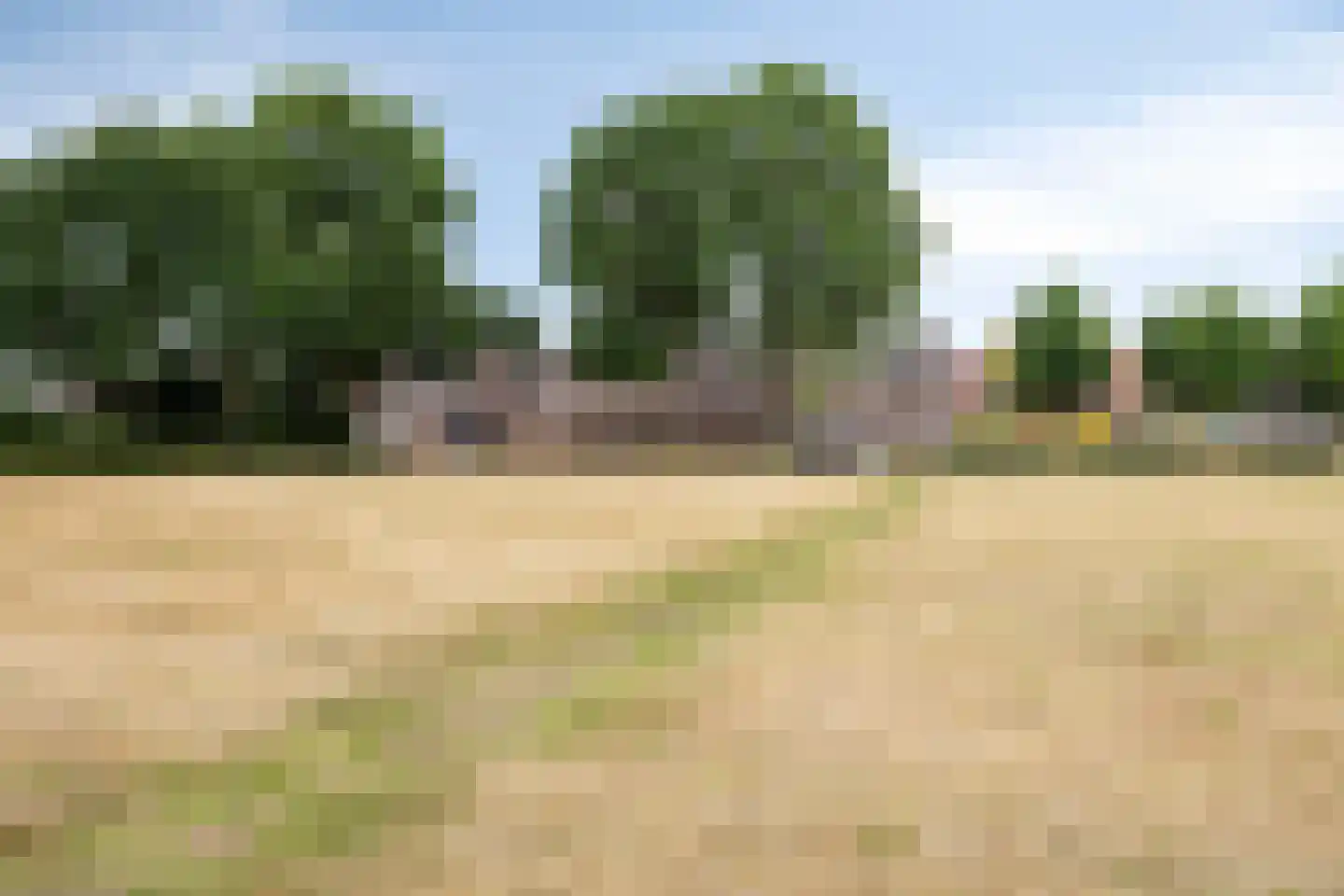 Essinklaan 19 Grave thumbnail 36