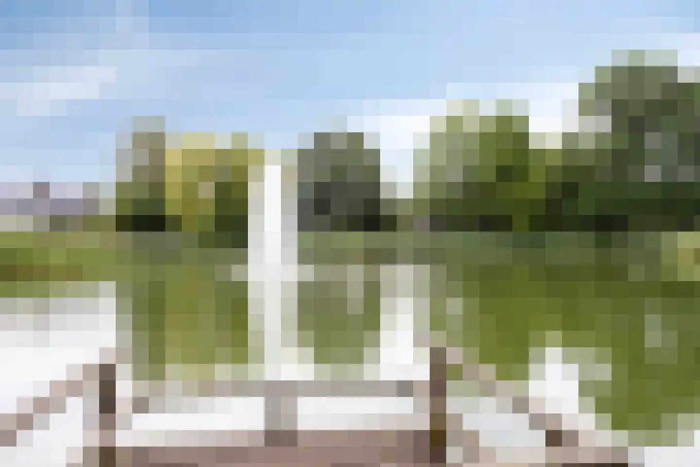Essinklaan 19 Grave thumbnail 39