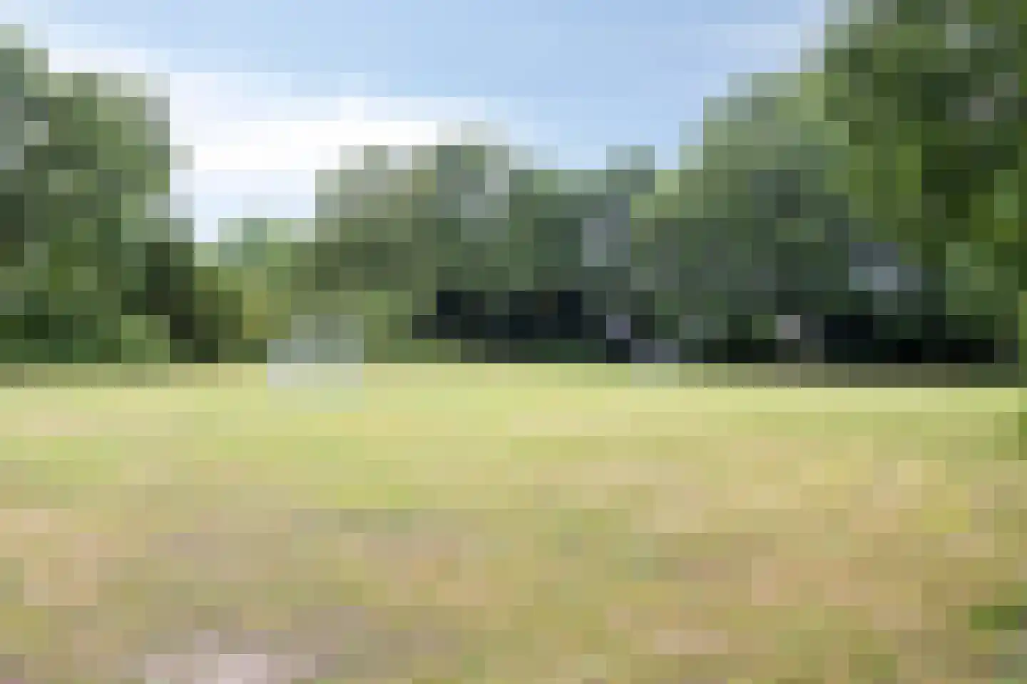 Essinklaan 19 Grave thumbnail 41