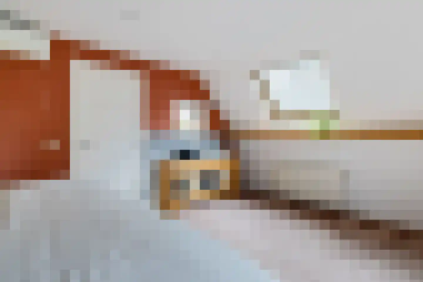 Esstraat 1 Assen thumbnail 15