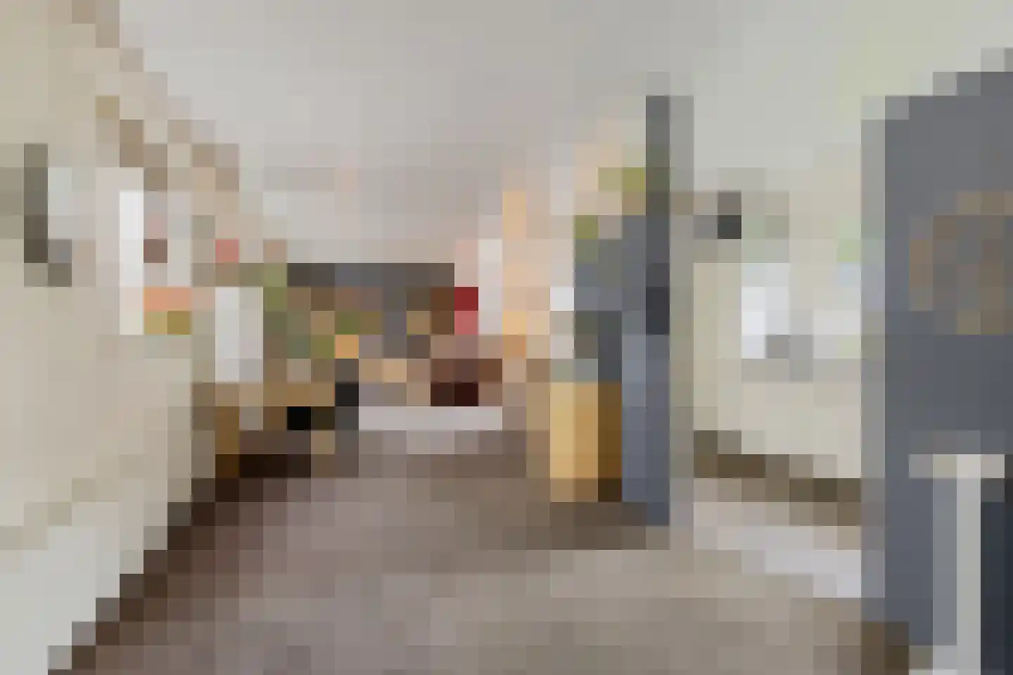 Esstraat 1 Assen thumbnail 38
