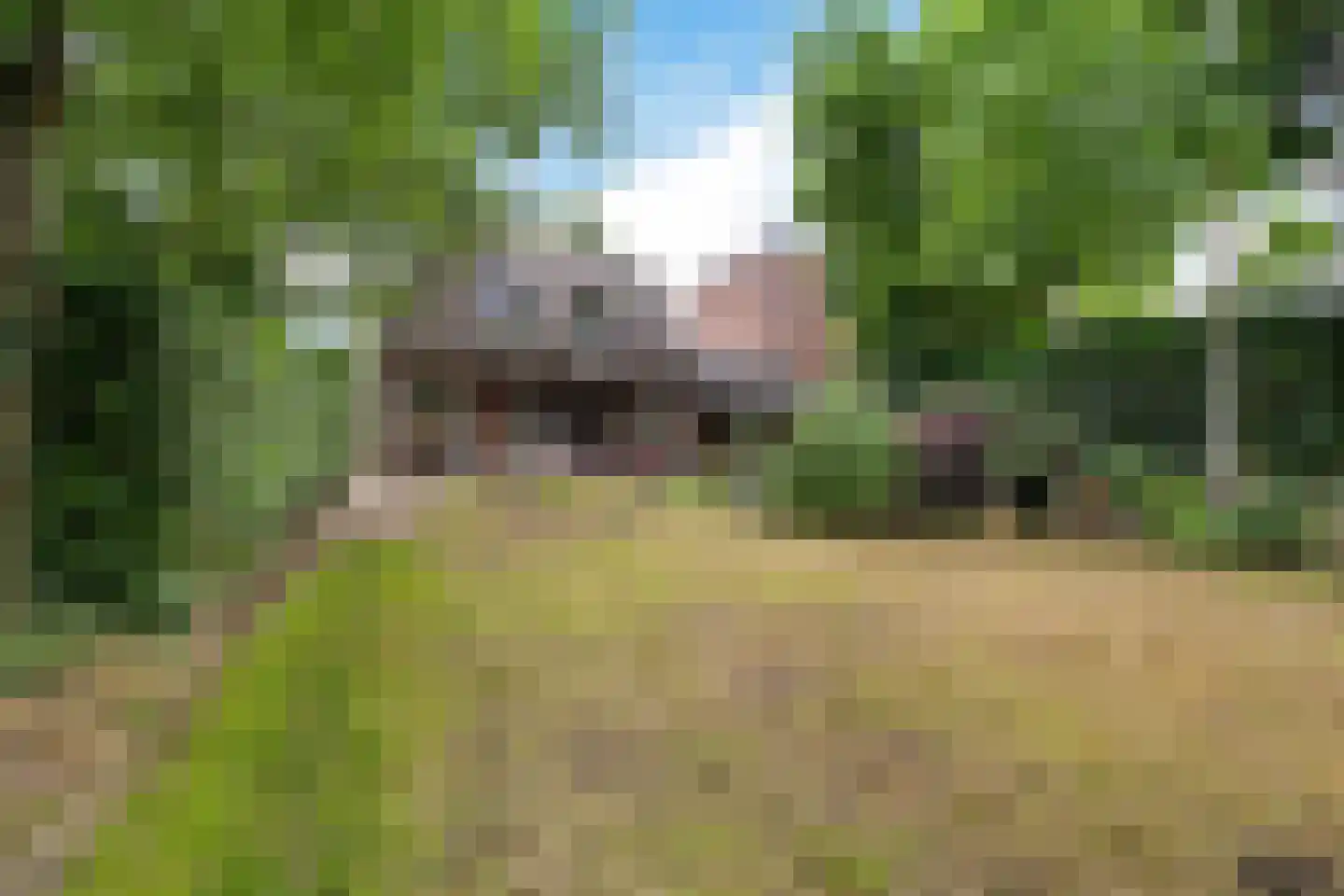 Esstraat 1 Assen thumbnail 45