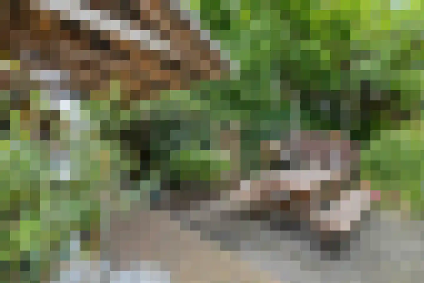Esstraat 1 Assen thumbnail 47