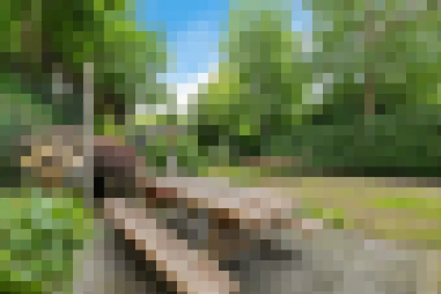 Esstraat 1 Assen thumbnail 48