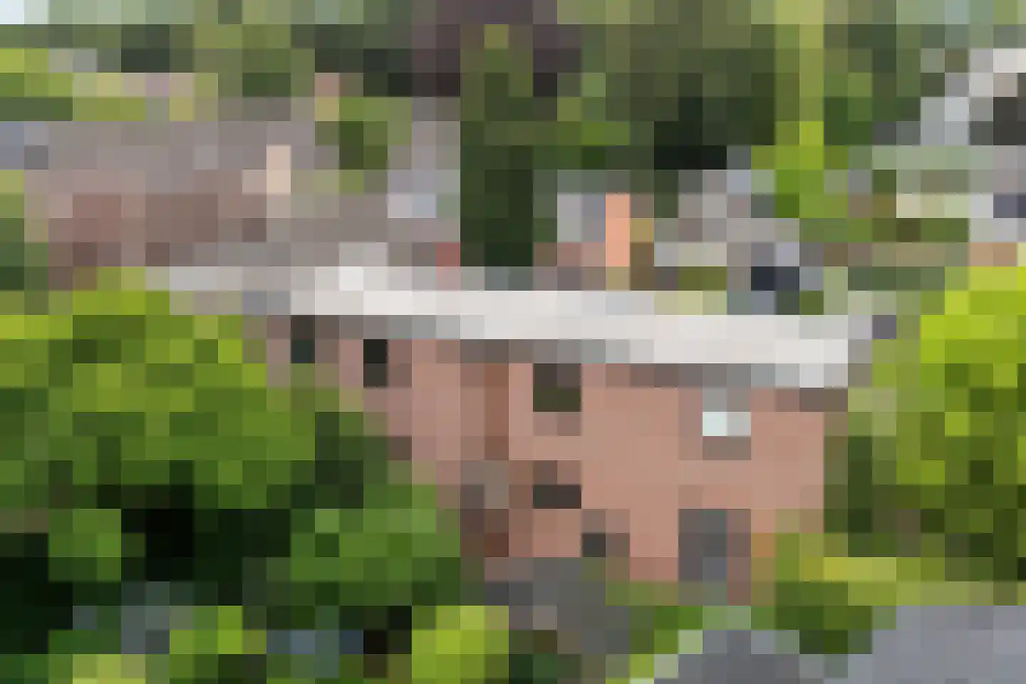 Esstraat 1 Assen thumbnail 51