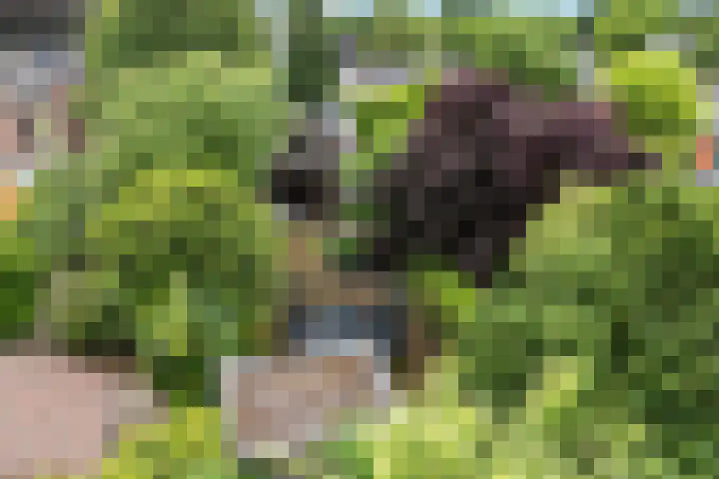 Esstraat 1 Assen thumbnail 52