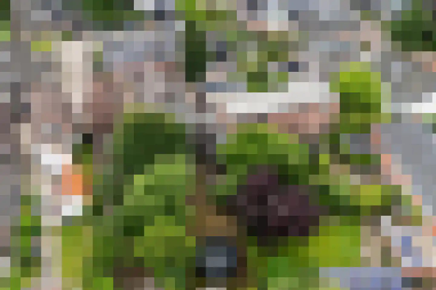 Esstraat 1 Assen thumbnail 53