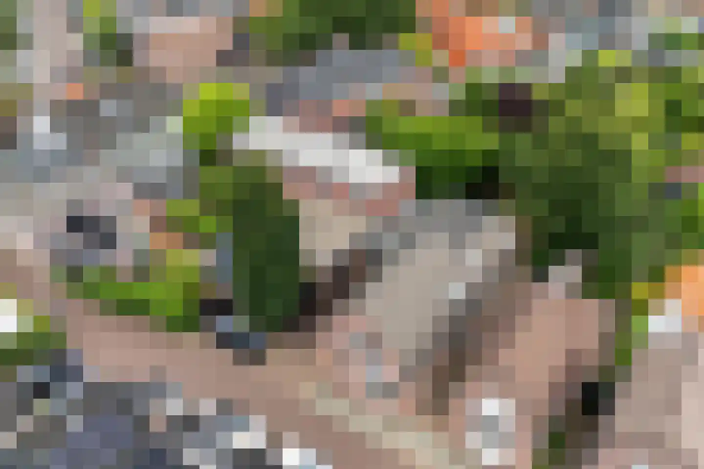Esstraat 1 Assen thumbnail 54
