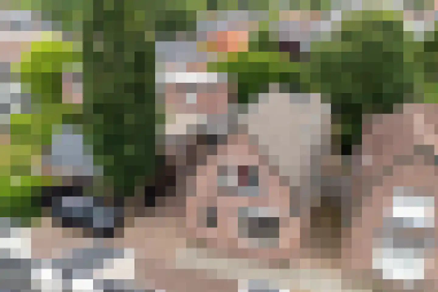 Esstraat 1 Assen thumbnail 55