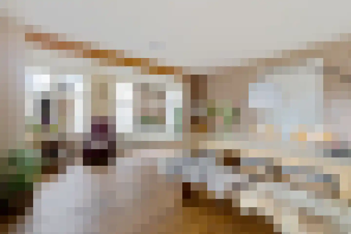 Esstraat 1 Assen thumbnail 7