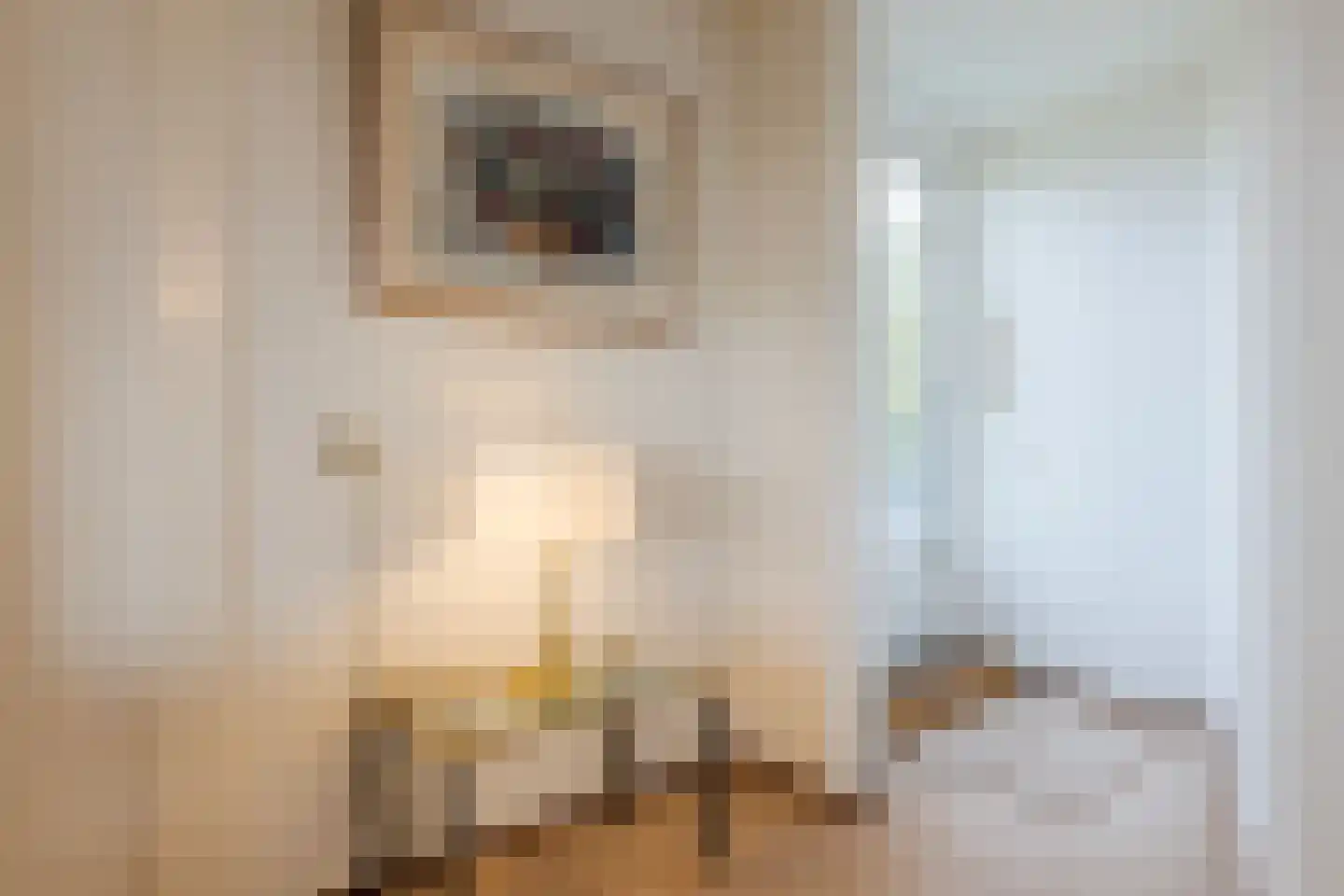 Esstraat 10 12 Lichtenvoorde thumbnail 23