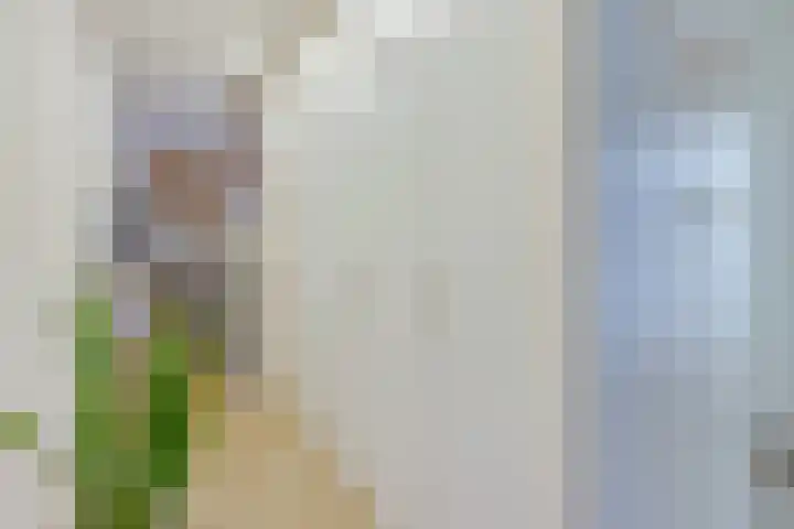 Esstraat 100 Rijssen thumbnail 15