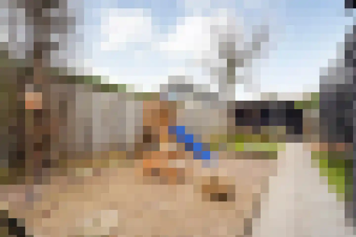 Esstraat 100 Rijssen thumbnail 30