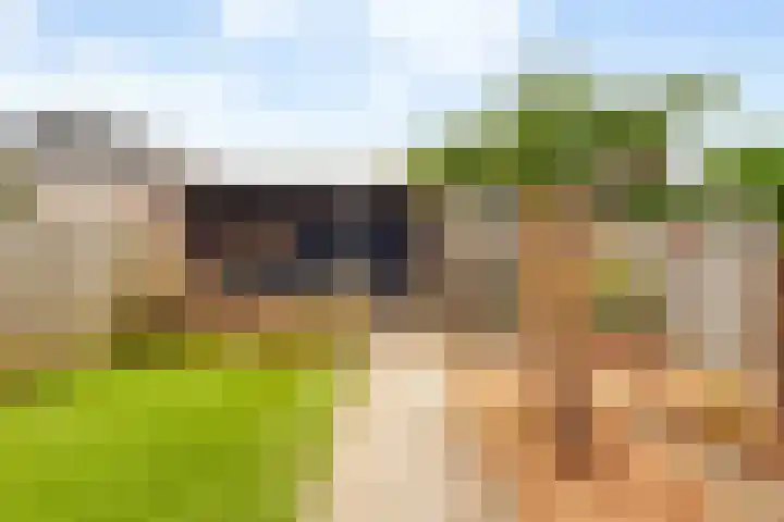 Esstraat 100 Rijssen thumbnail 33