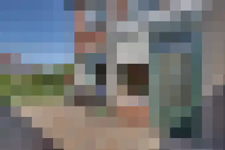 Esstraat 172 Rijssen thumbnail 30