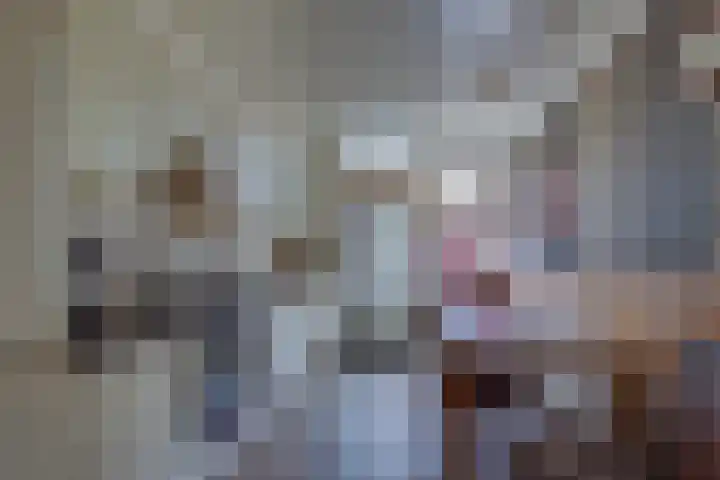 Esstraat 172 Rijssen thumbnail 7