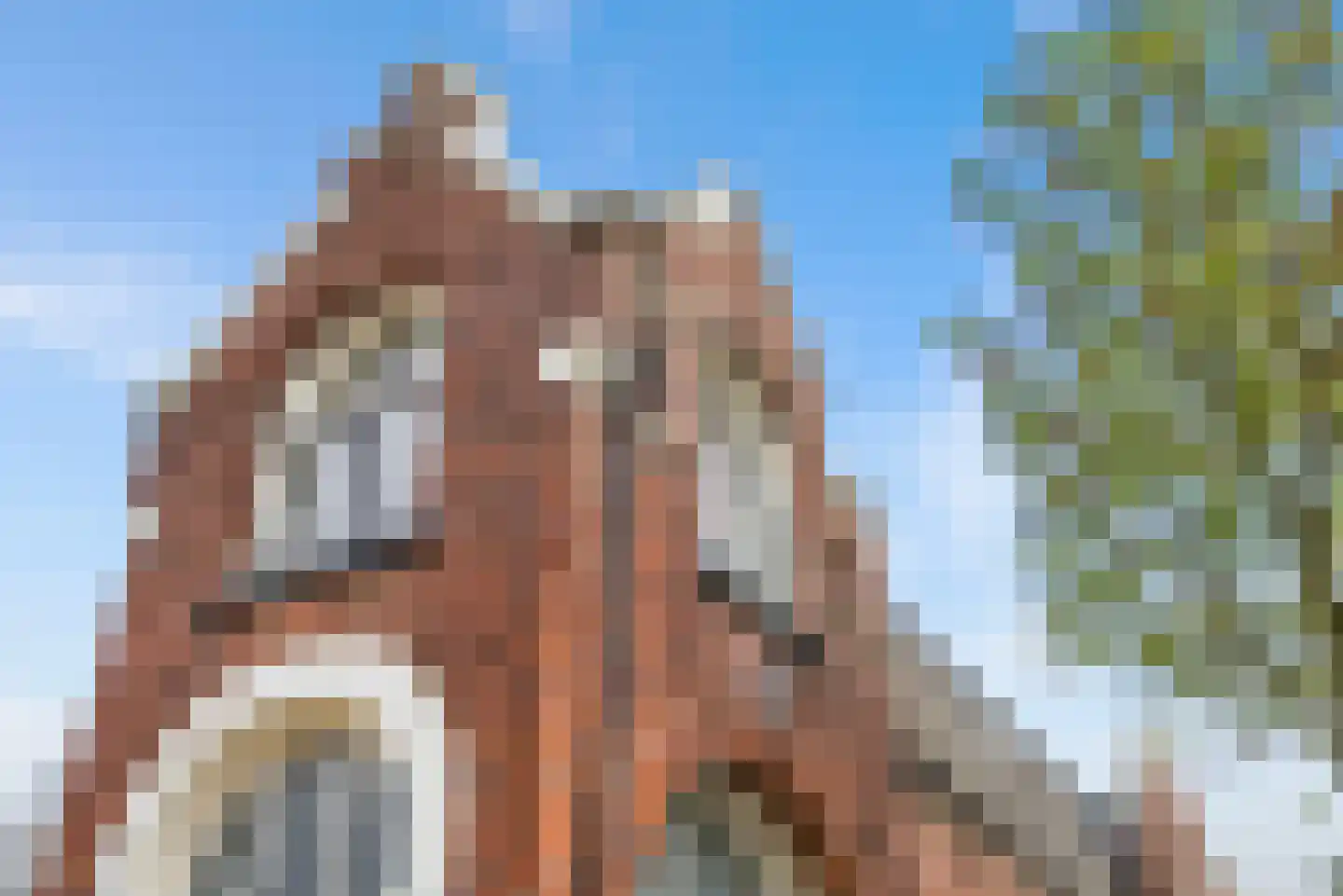 Esstraat 2 Enschede thumbnail 38