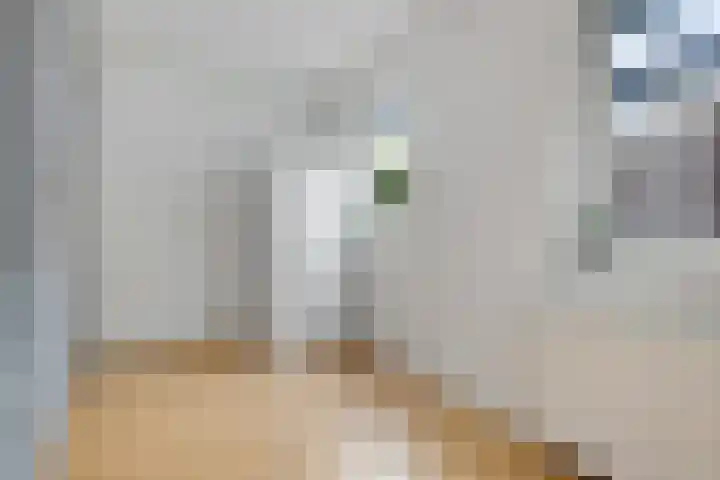 Esstraat 21 Assen thumbnail 18