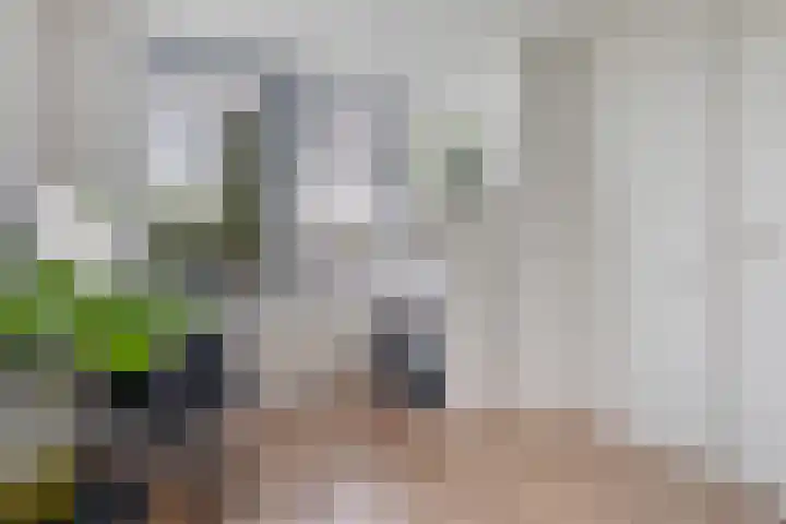 Esstraat 21 Assen thumbnail 27