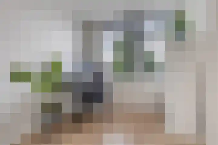 Esstraat 21 Assen thumbnail 28