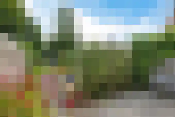 Esstraat 21 Assen thumbnail 32