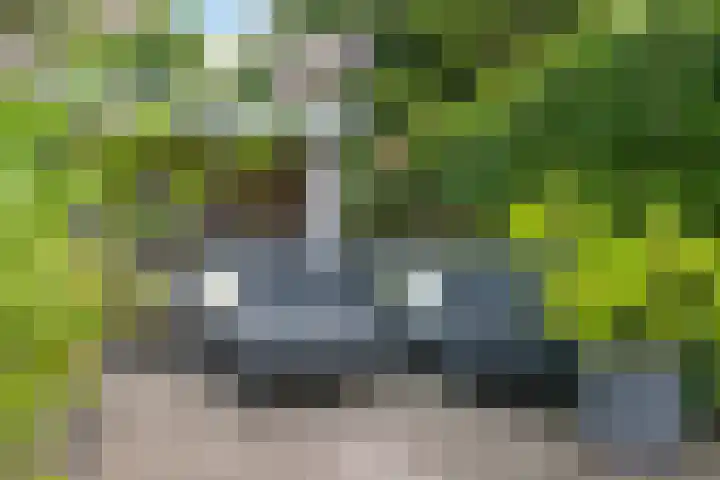 Esstraat 21 Assen thumbnail 35