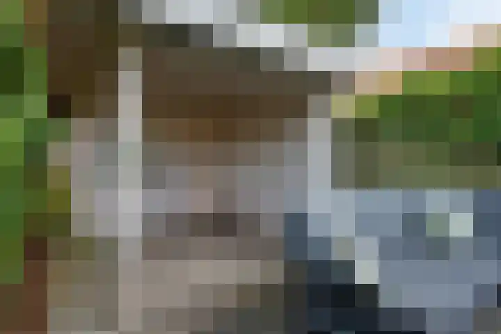 Esstraat 21 Assen thumbnail 36