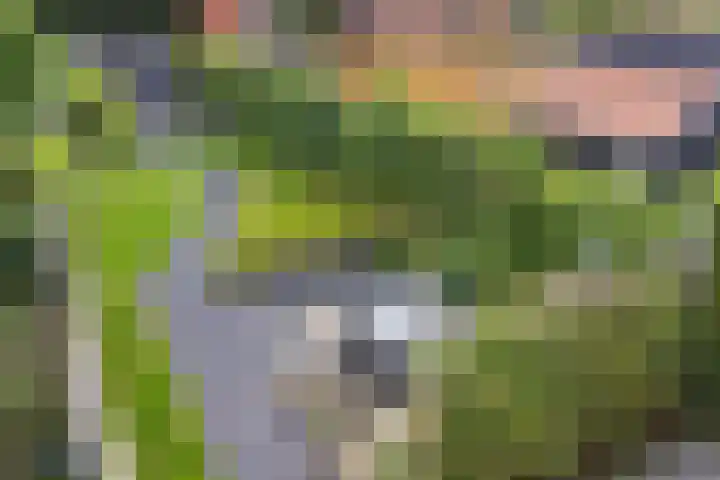 Esstraat 21 Assen thumbnail 38