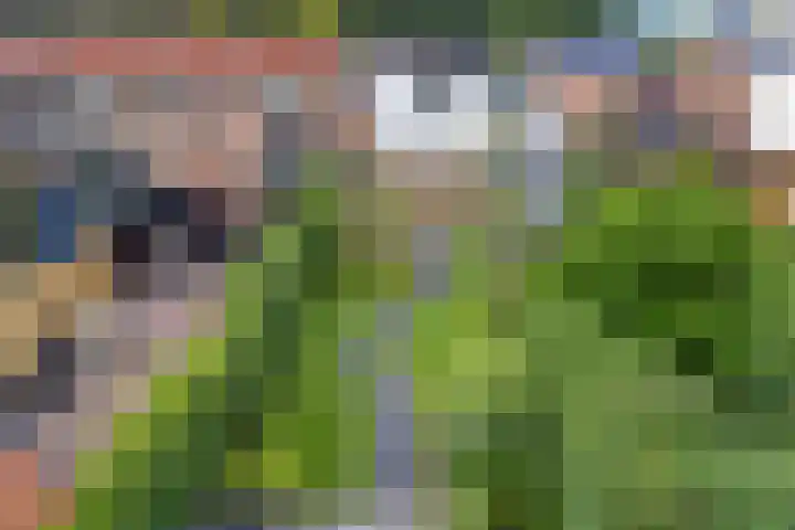 Esstraat 21 Assen thumbnail 39