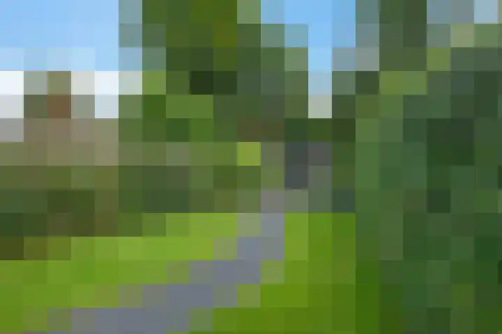 Esstraat 21 Assen thumbnail 4