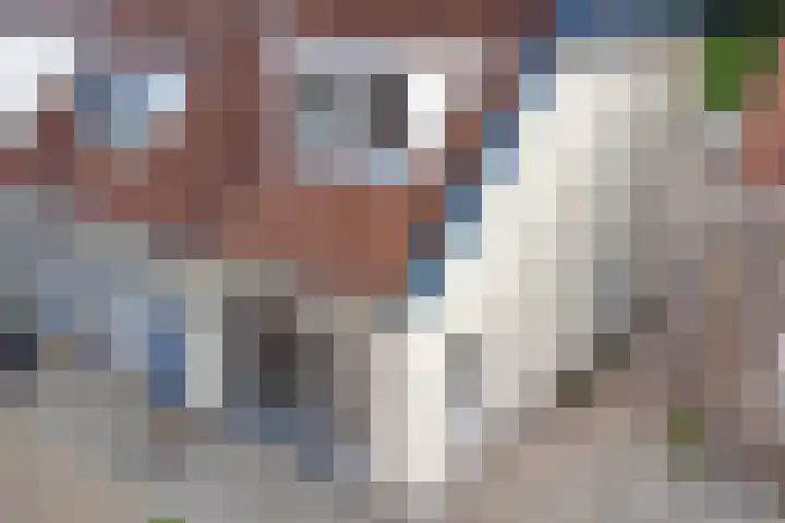 Esstraat 21 Assen thumbnail 44