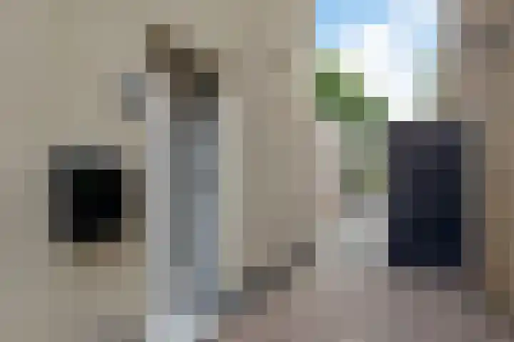 Esstraat 21 Assen thumbnail 5