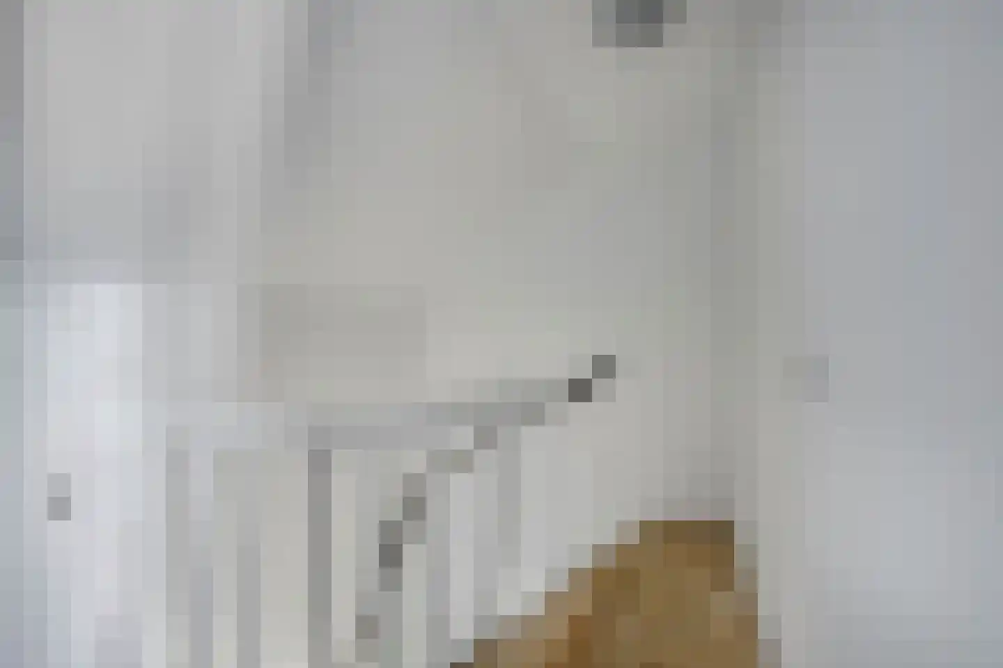 Esstraat 24 Echt thumbnail 24