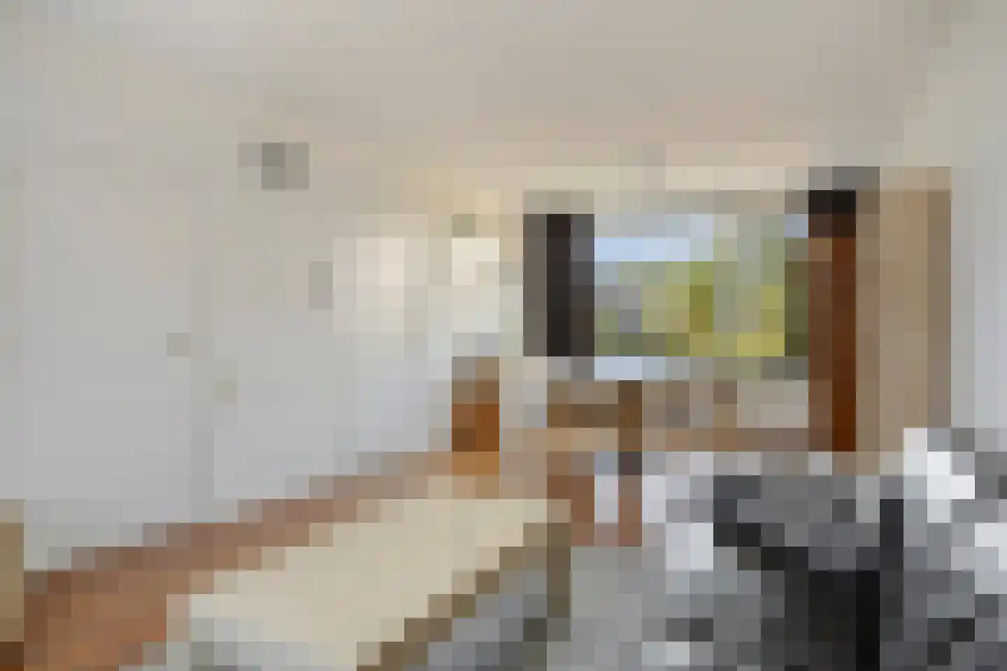 Esstraat 24 Echt thumbnail 6