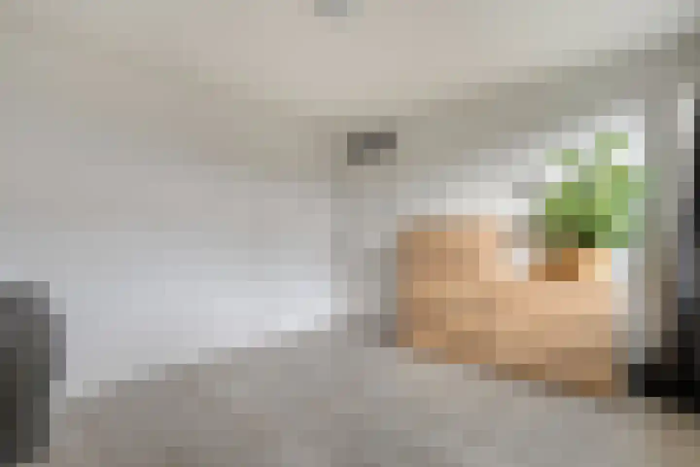 Esstraat 30 Wijster thumbnail 20