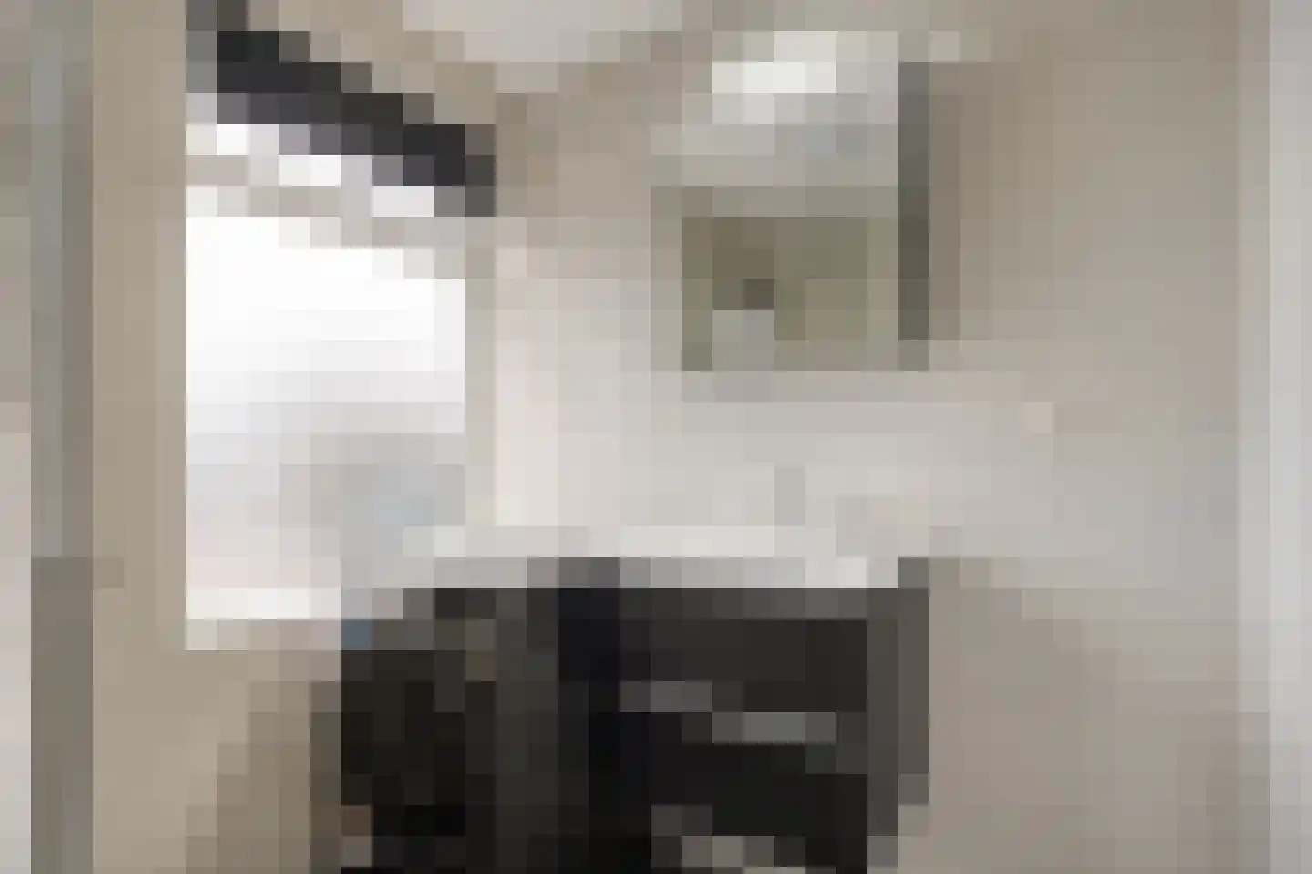 Esstraat 30 Wijster thumbnail 25