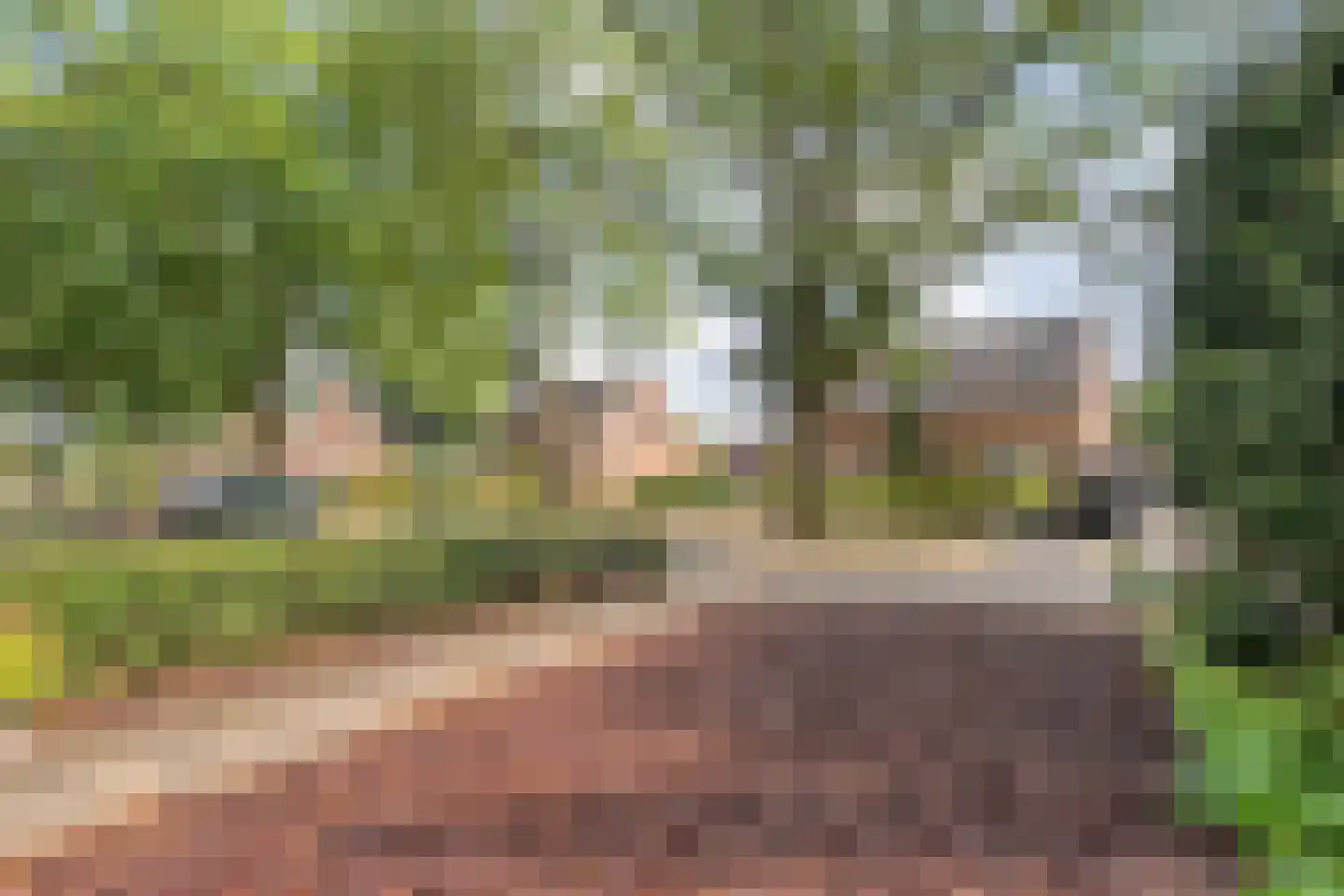 Esstraat 30 Wijster thumbnail 34