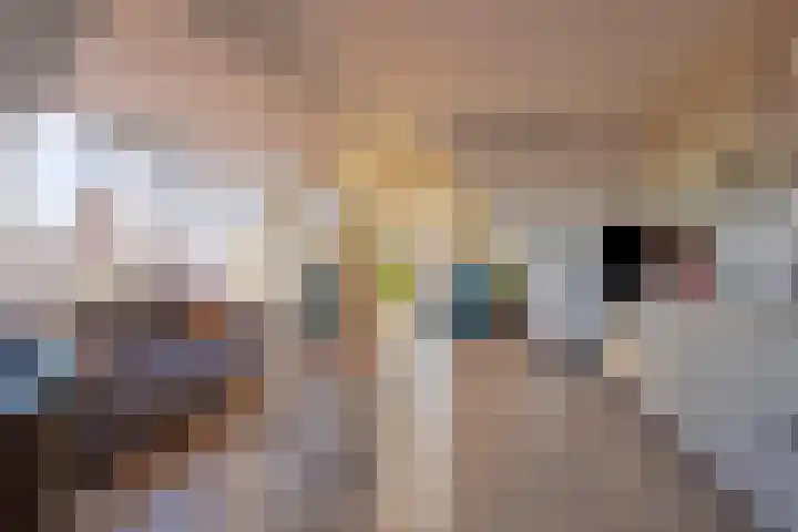 Esstraat 36 B Rijssen thumbnail 7
