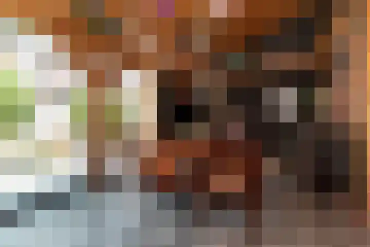 Esstraat 37 Rijssen thumbnail 30